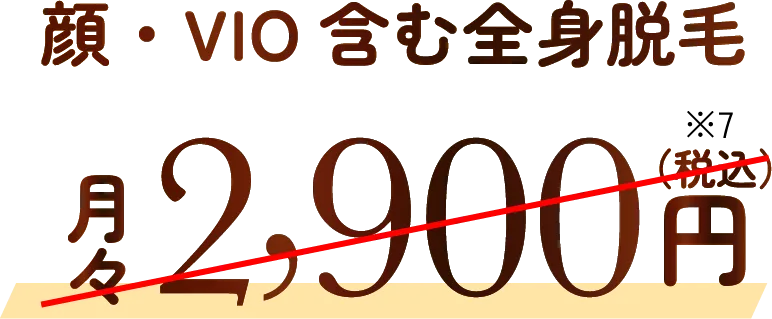 顔・VIO含む全身脱毛 月々2,900円（税込）